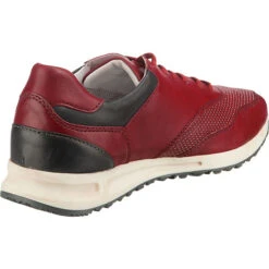 Josef Seibel Thaddeus 10 Sneakers Low -Schuhgeschäft 13087991 05